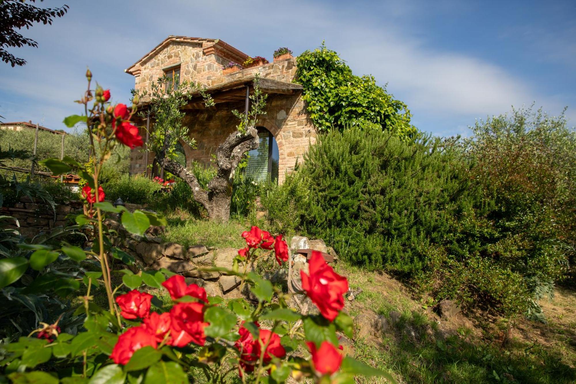 Il Poggio Dell'Eremita Apartment Rigomagno Exterior foto